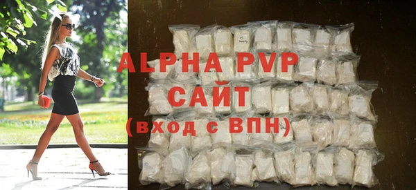 ECSTASY Белокуриха