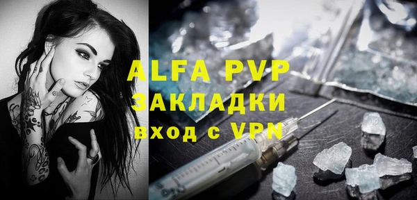 ECSTASY Белокуриха